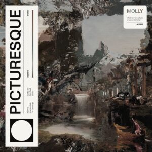 MOLLY – ‘Picturesque’ cover album